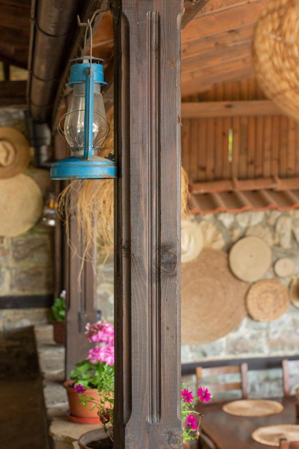 Villa Sol Слънчев бряг Екстериор снимка